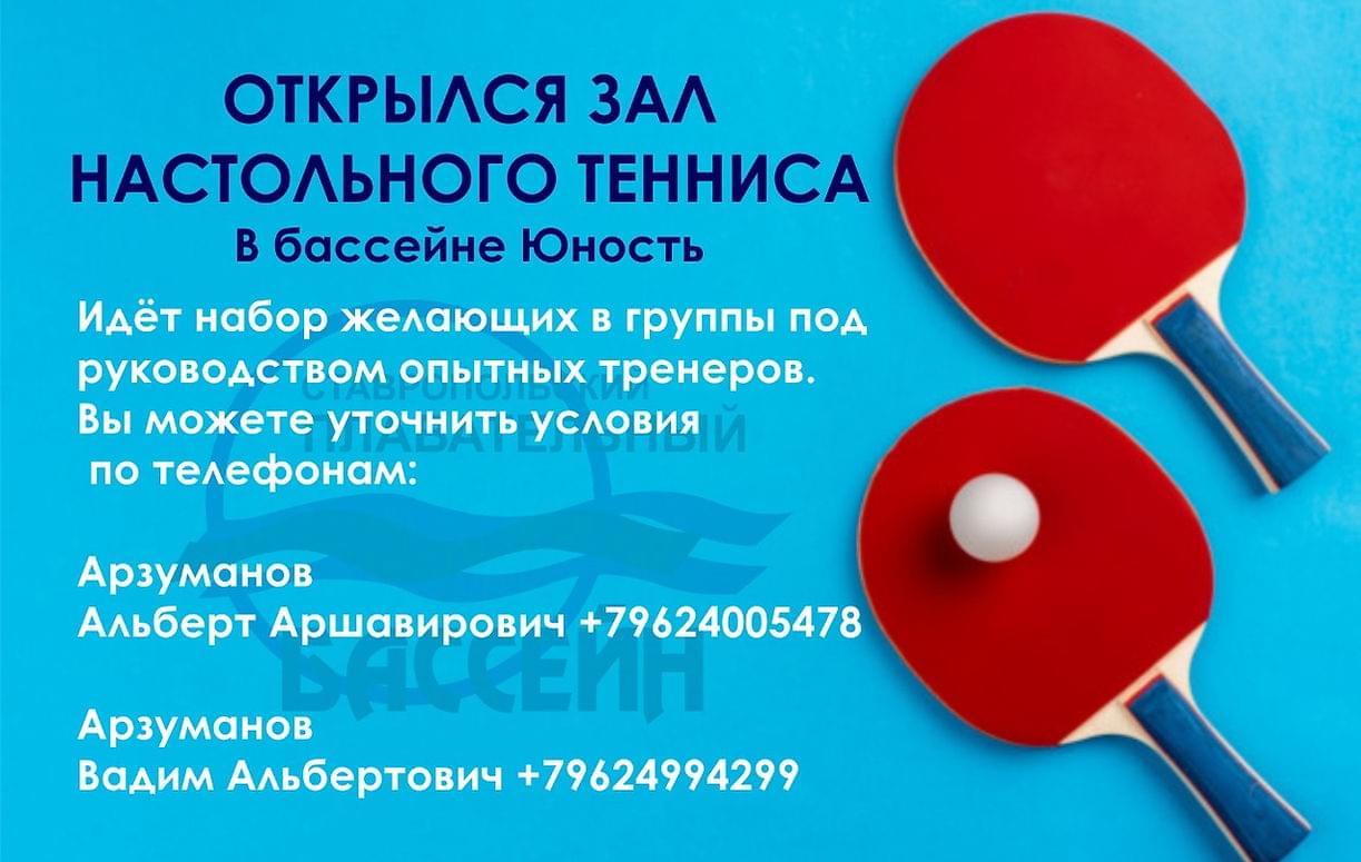 Настольный теннис